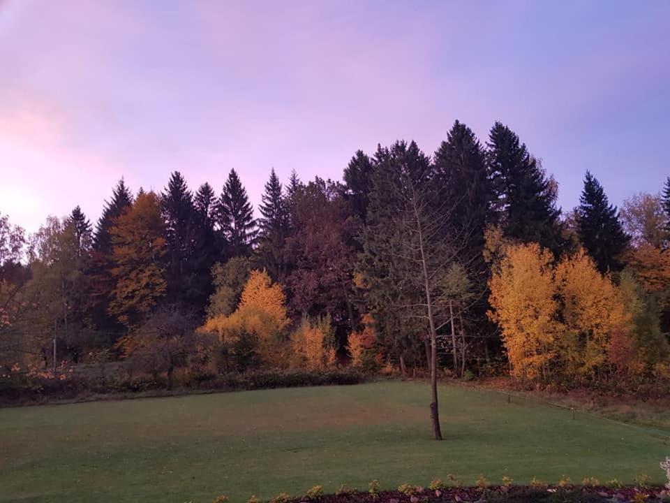 Pokoje Goscinne Art- Dworek Kudowa-Zdrój Exterior foto