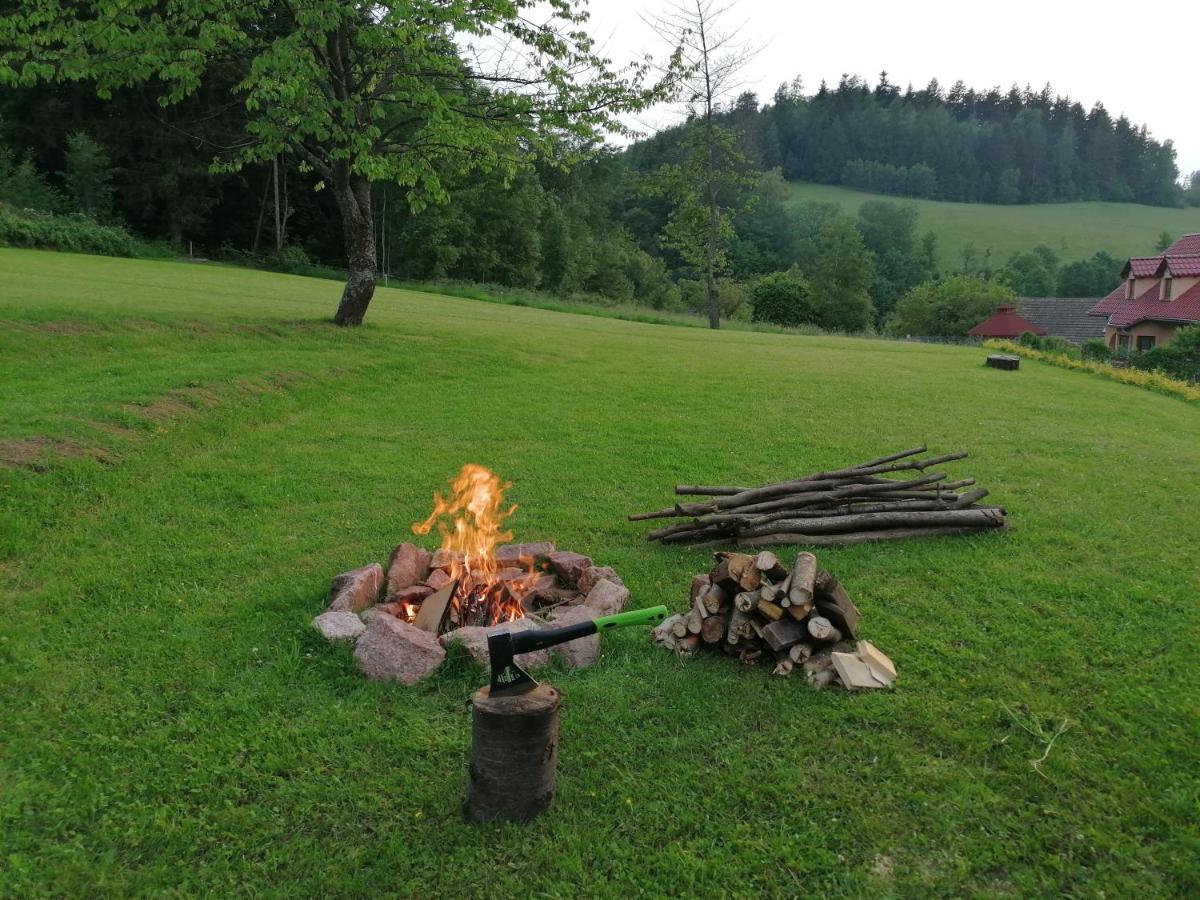 Pokoje Goscinne Art- Dworek Kudowa-Zdrój Exterior foto