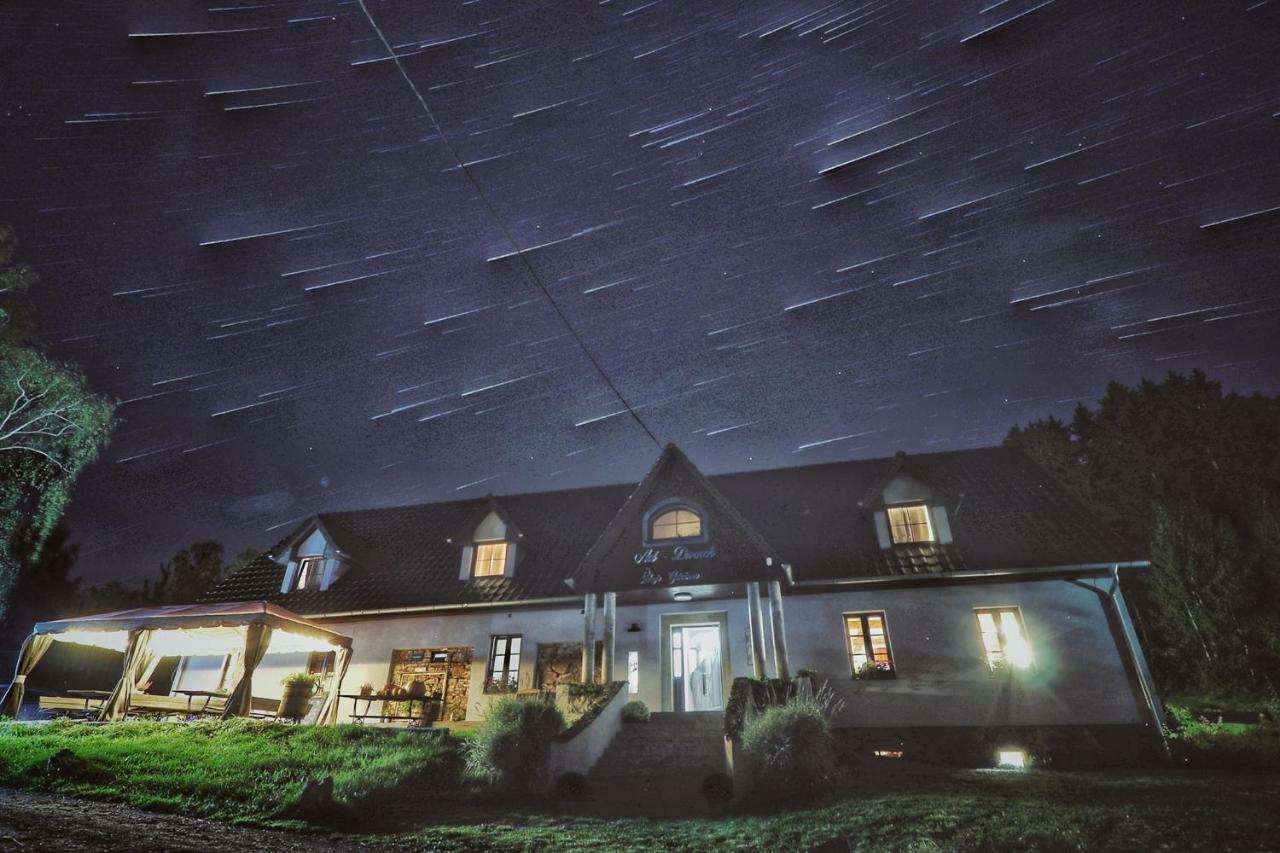 Pokoje Goscinne Art- Dworek Kudowa-Zdrój Exterior foto